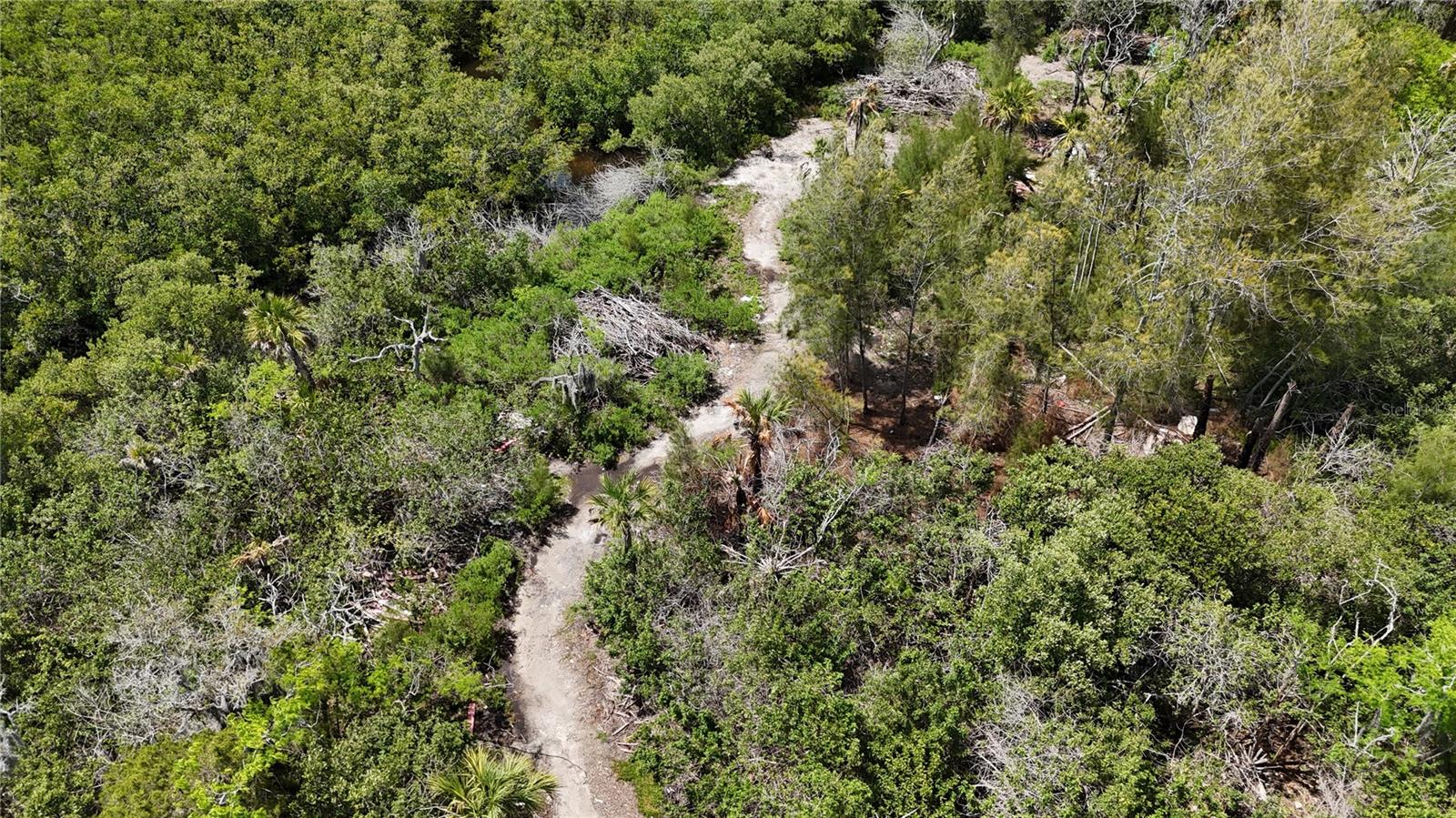 TAMPA TARPON SPGS LAND CO - Land
