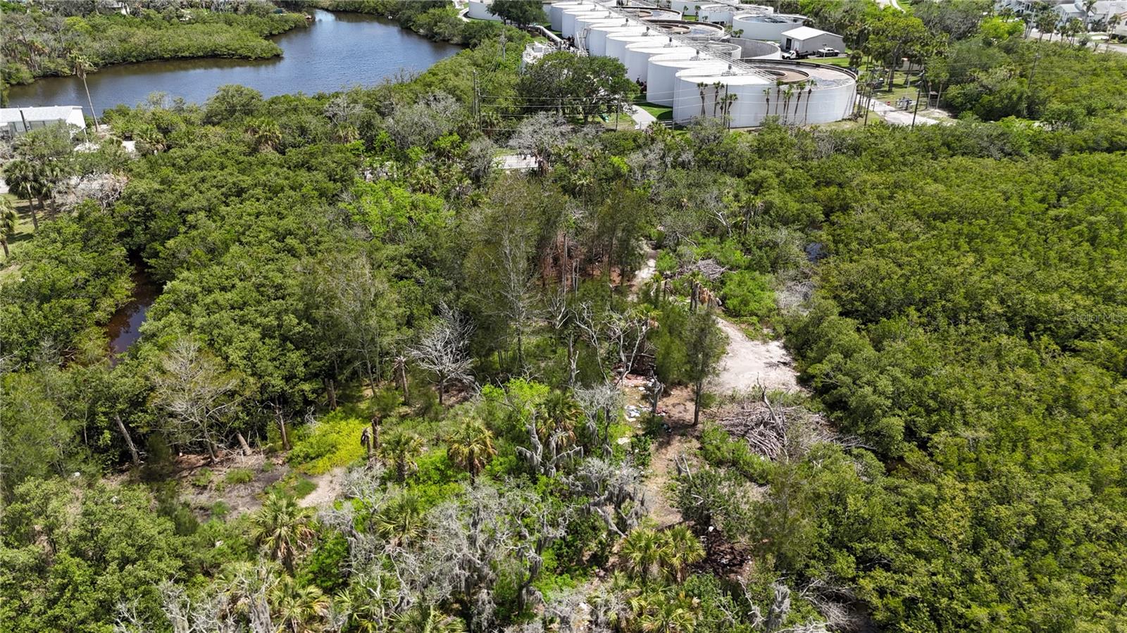 TAMPA TARPON SPGS LAND CO - Land