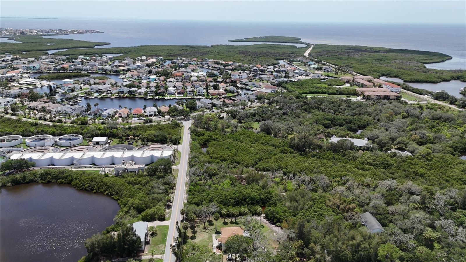 TAMPA TARPON SPGS LAND CO - Land
