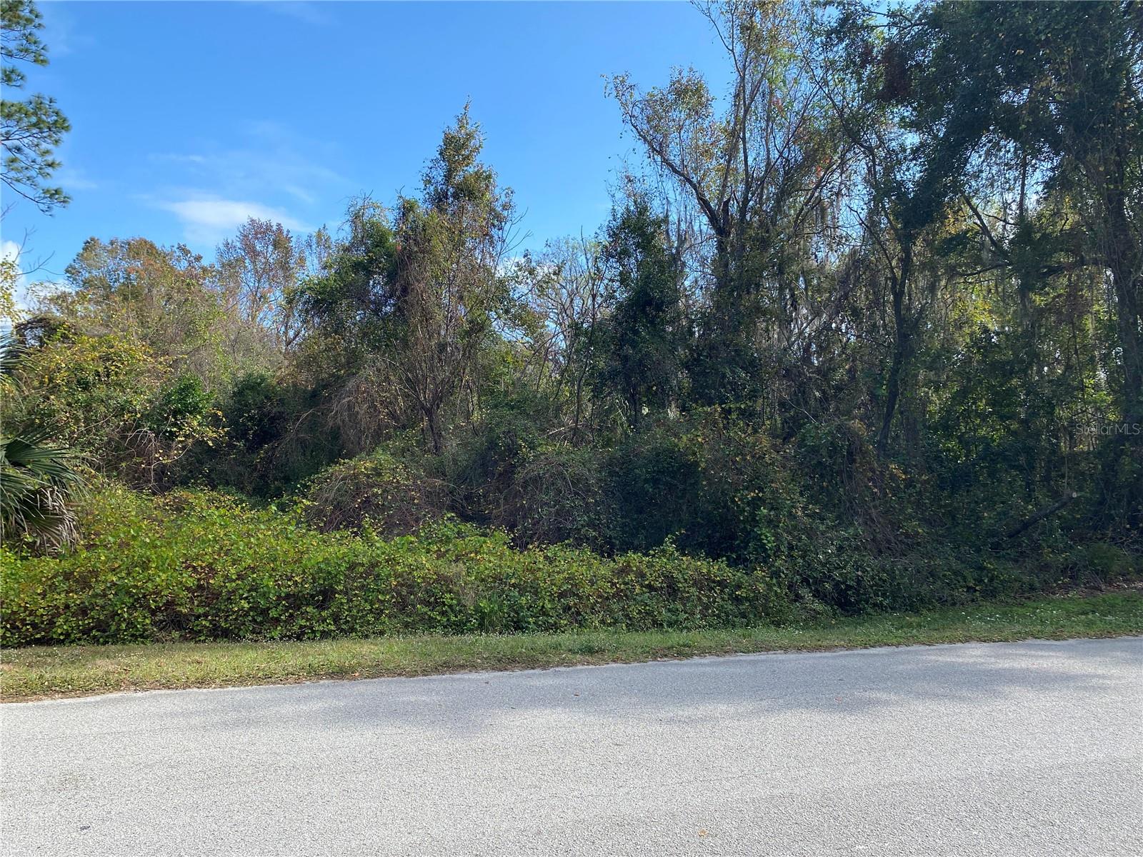 LEESBURG SUNNSIDE TRAILS PH 02 LT 11 O - Land