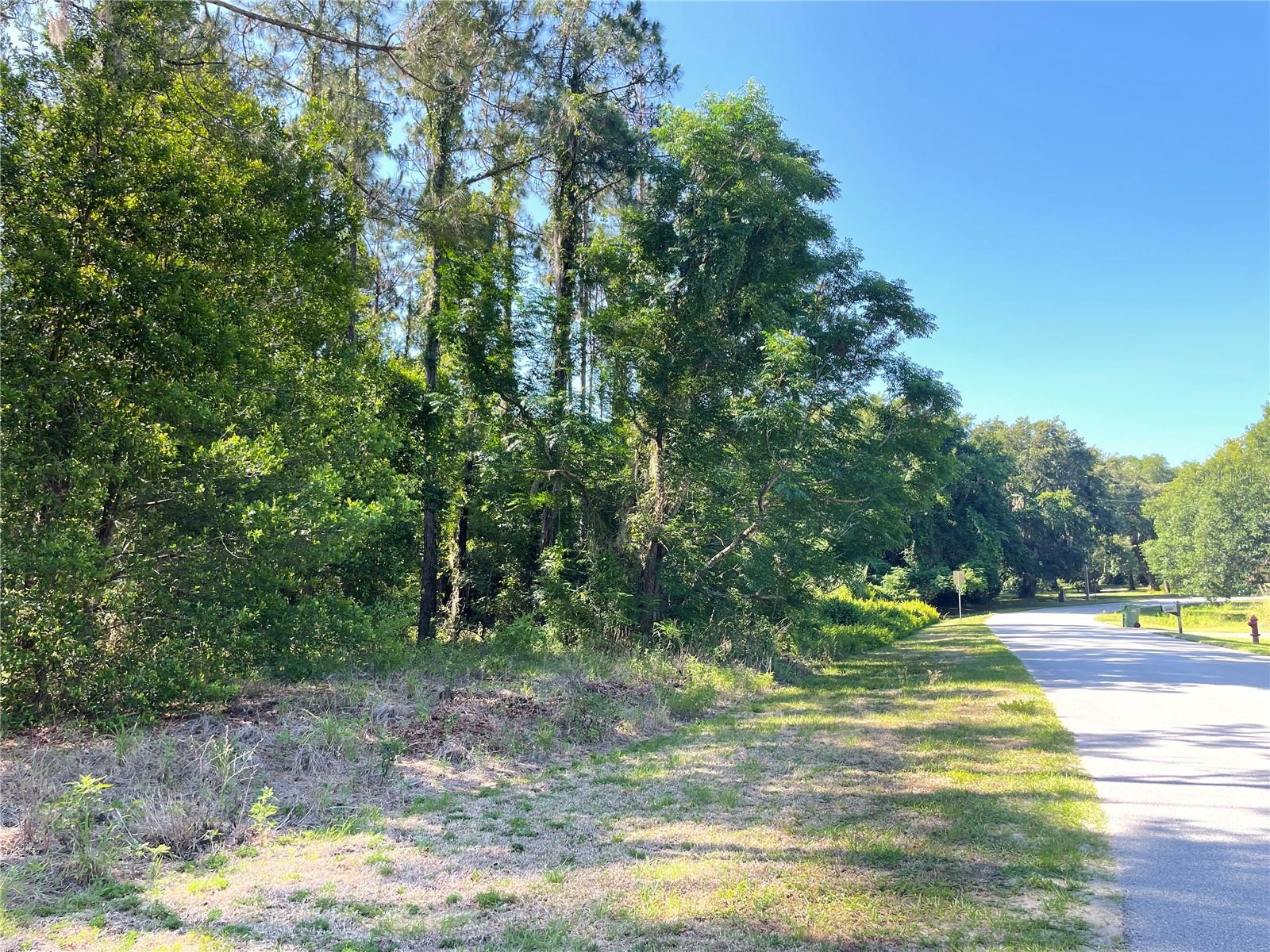 LEESBURG SUNNSIDE TRAILS PH 02 LT 11 O - Land