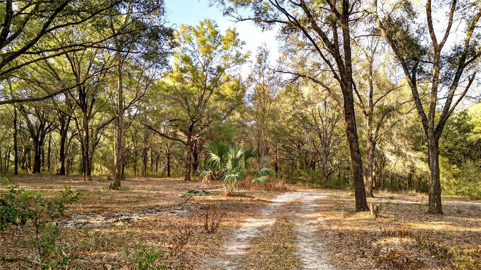 Discover the freedom and potential of ten beautiful acres in the heart of Weirsdale, Florida—a rare opportunity to create a private retreat tailored entirely to your vision. Perimeter fenced and partially cleared, this property offers the perfect balance of open space and natural surroundings, giving you a head start on building the home you’ve always imagined while still preserving the character of the land. An established interior road network weaves through the heart of the property, creating a scenic drive across your own acreage and providing convenient access throughout. With two separate gated entry points, you have flexibility in layout and design—ideal for future barns, a main residence, guest quarters, or equipment access—while maintaining privacy and security. Located just minutes from The Grand Oaks Resort, this parcel is ideally positioned for equestrian enthusiasts seeking room to design and develop the horse property they’ve been dreaming of. Whether you envision barns, paddocks, riding arenas, or simply wide-open pasture, the groundwork is already in place to bring your plans to life. Situated in Flood Zone X, the property provides added peace of mind and confidence for future development. A tiny home already on site is nearly complete—requiring only a few finishing touches—offering the unique opportunity for overnight stays while you plan and build, or a cozy private getaway to escape the pace of everyday life. For the avid outdoorsman, this land is more than a homesite—it’s a lifestyle. With ample space to roam, explore, and enjoy your favorite hobbies, you’ll find the privacy and versatility that make properties like this increasingly hard to find. If you’ve been searching for acreage with location, flexibility, and long-term potential, this Weirsdale property delivers the foundation for something truly exceptional.