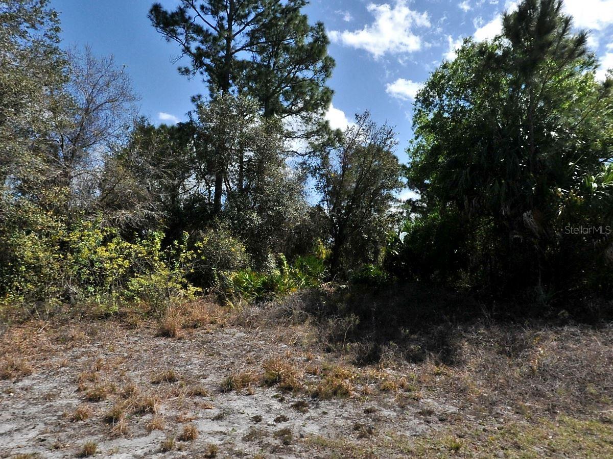 Great vacant lot to build your home!