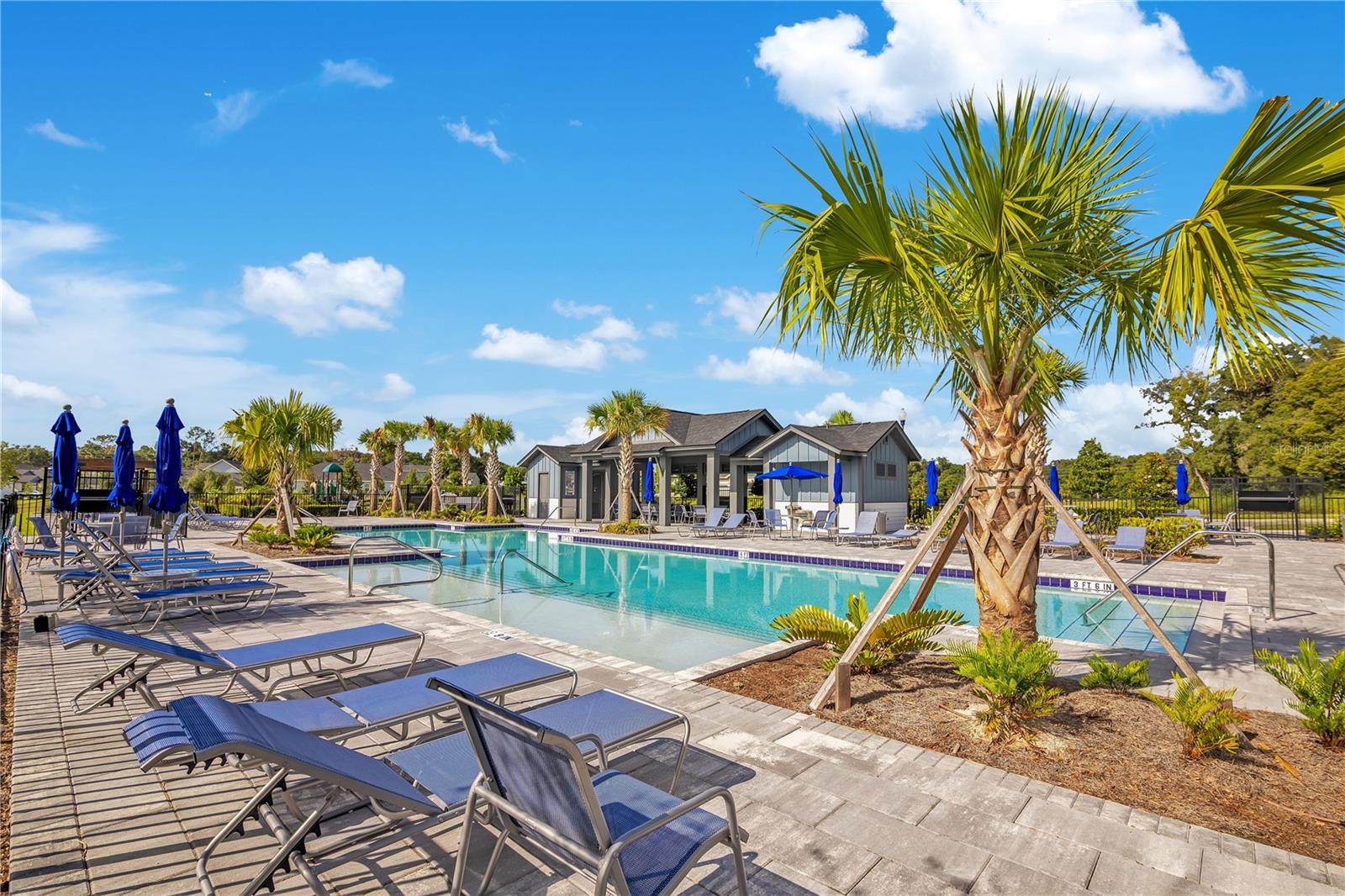 OAKFIELD AT MOUNT DORA - Residential