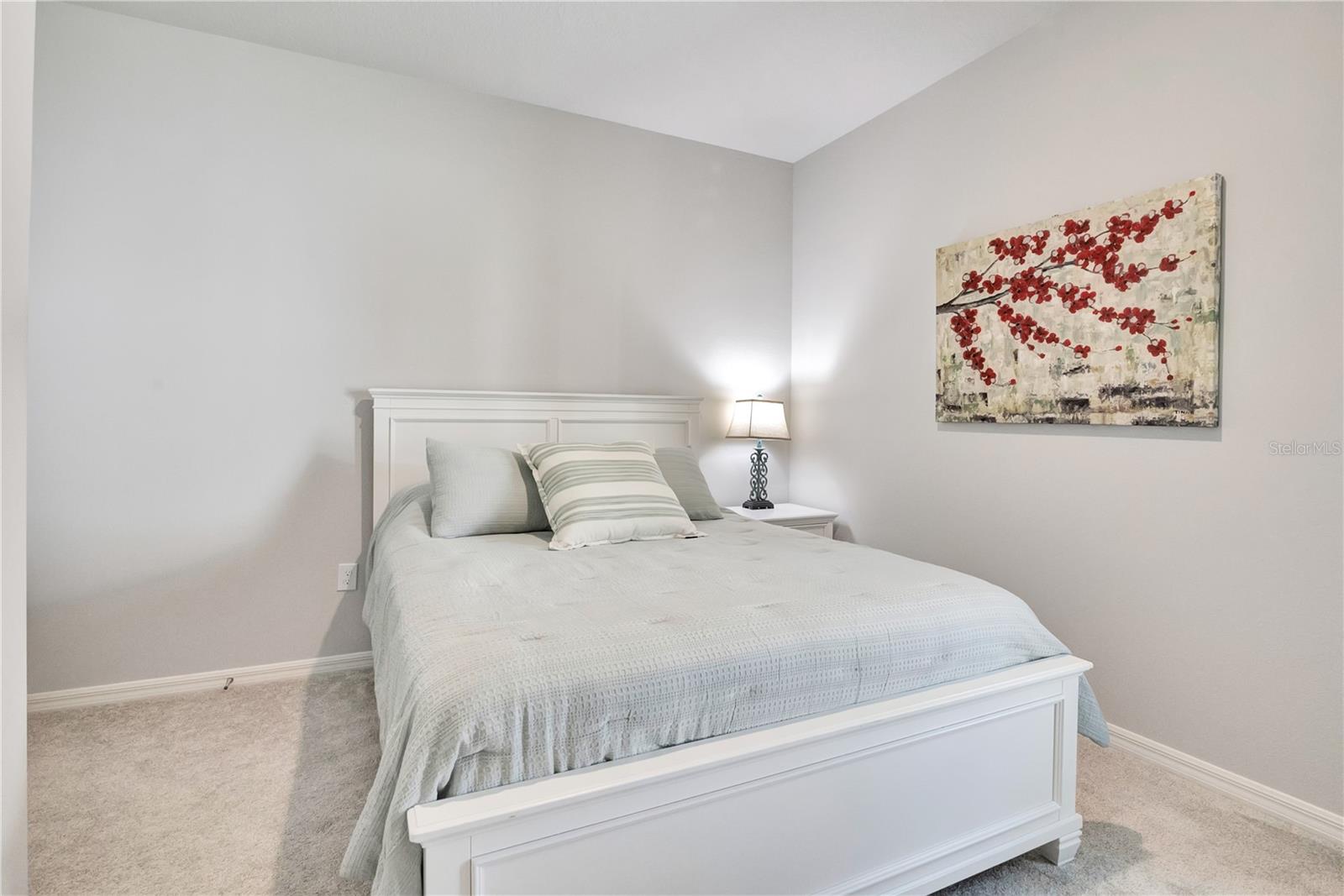 OAKFIELD AT MOUNT DORA - Residential