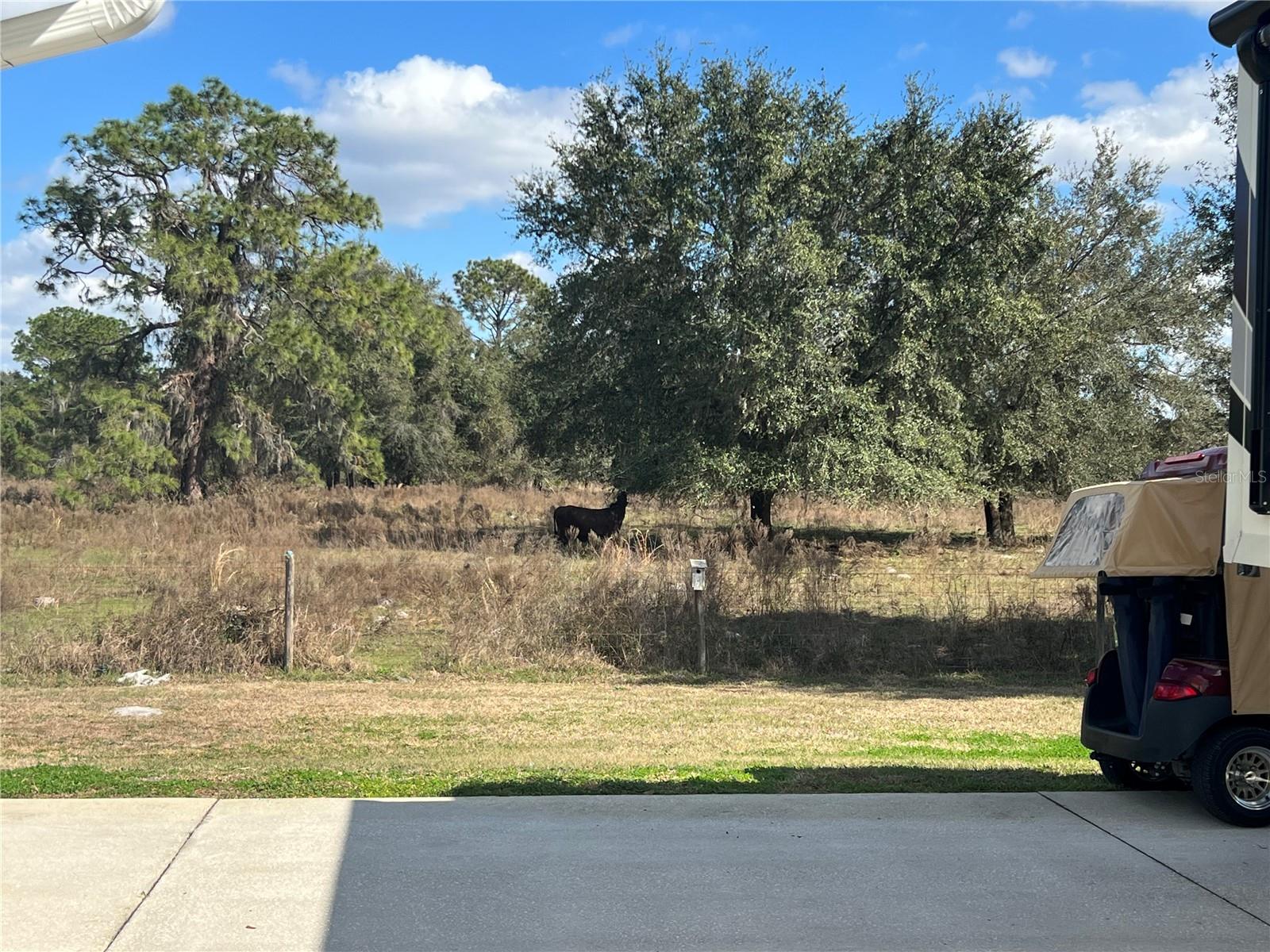 FLORIDA GRANDE MOTOR COACH RESIDENCE - Land