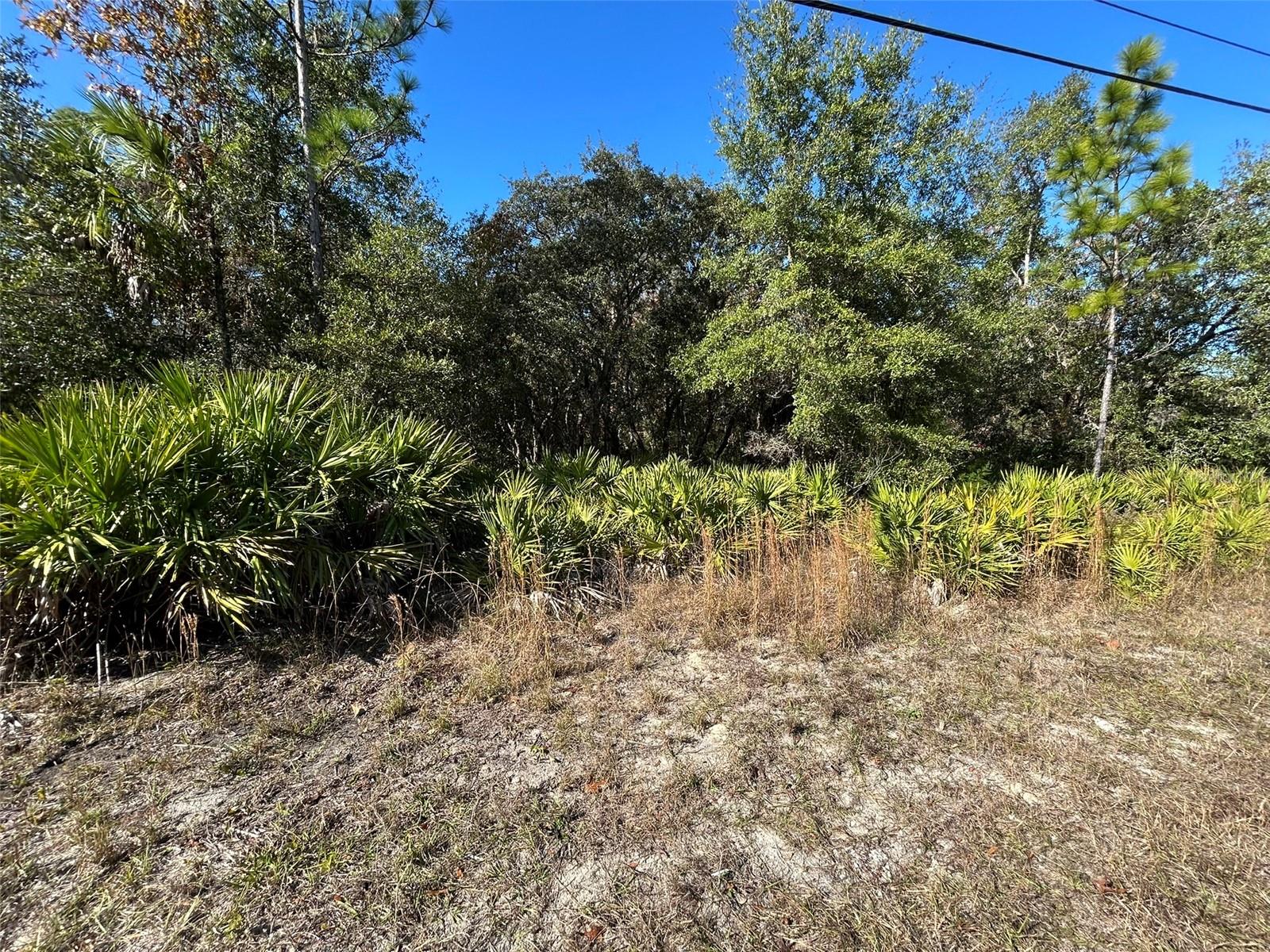 OWNER FINANCING AVAILABLE! Here's your chance to own almost an acre of land in the Crystal River area! This 0.90-acre vacant lot provides plenty of room to build your dream home and even add a detached structure, like a mother-in-law suite or an additional building up to 850 sq. ft. With no HOA or deed restrictions, you have the freedom to design the property to match your lifestyle. It's conveniently located near shopping, dining, schools, and the beautiful waterways that make Crystal River special. Plus, Florida State Road 589 is just 4 miles away, offering easy access to Tampa. A perfect opportunity to invest or start building today!