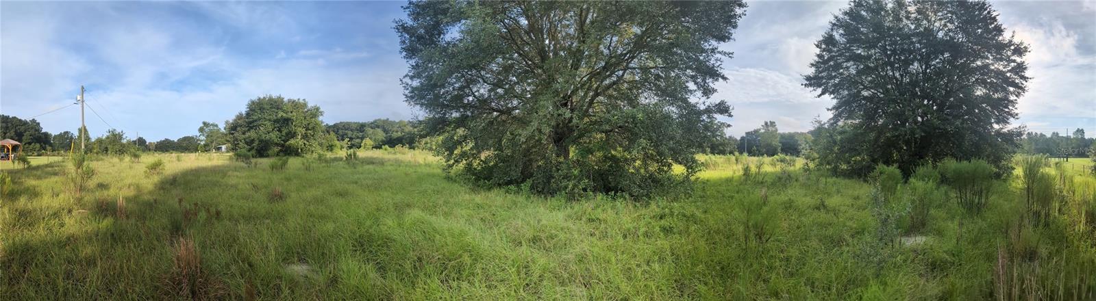 MARCHANT MEADOWS - Land
