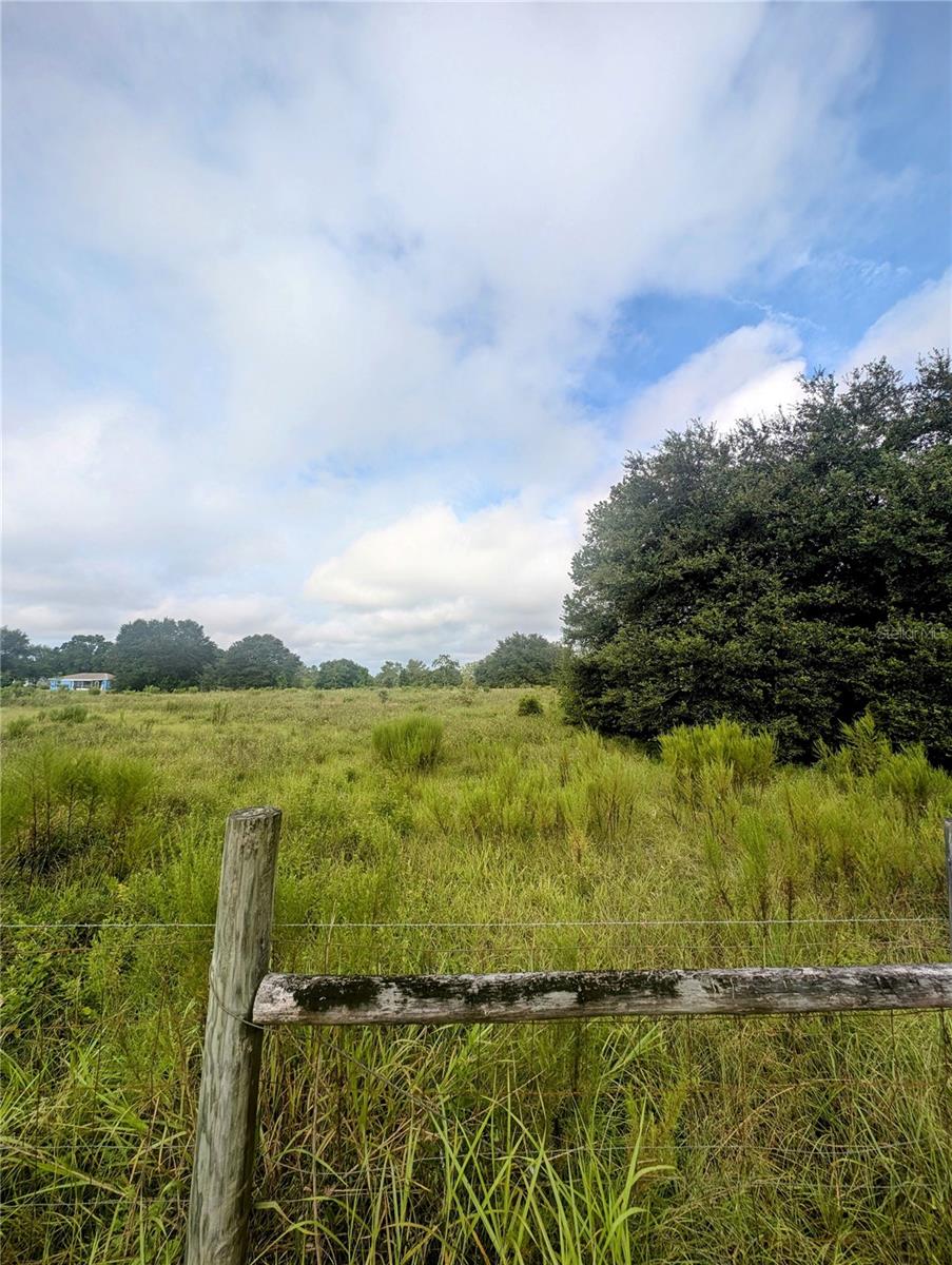 MARCHANT MEADOWS - Land