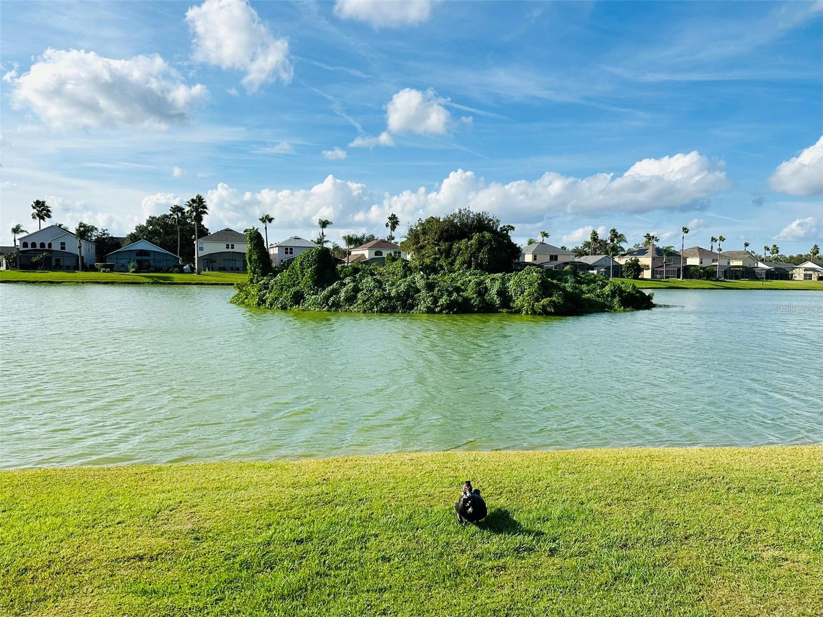 LAKE BERKLEY RESORT PH 2 - Residential