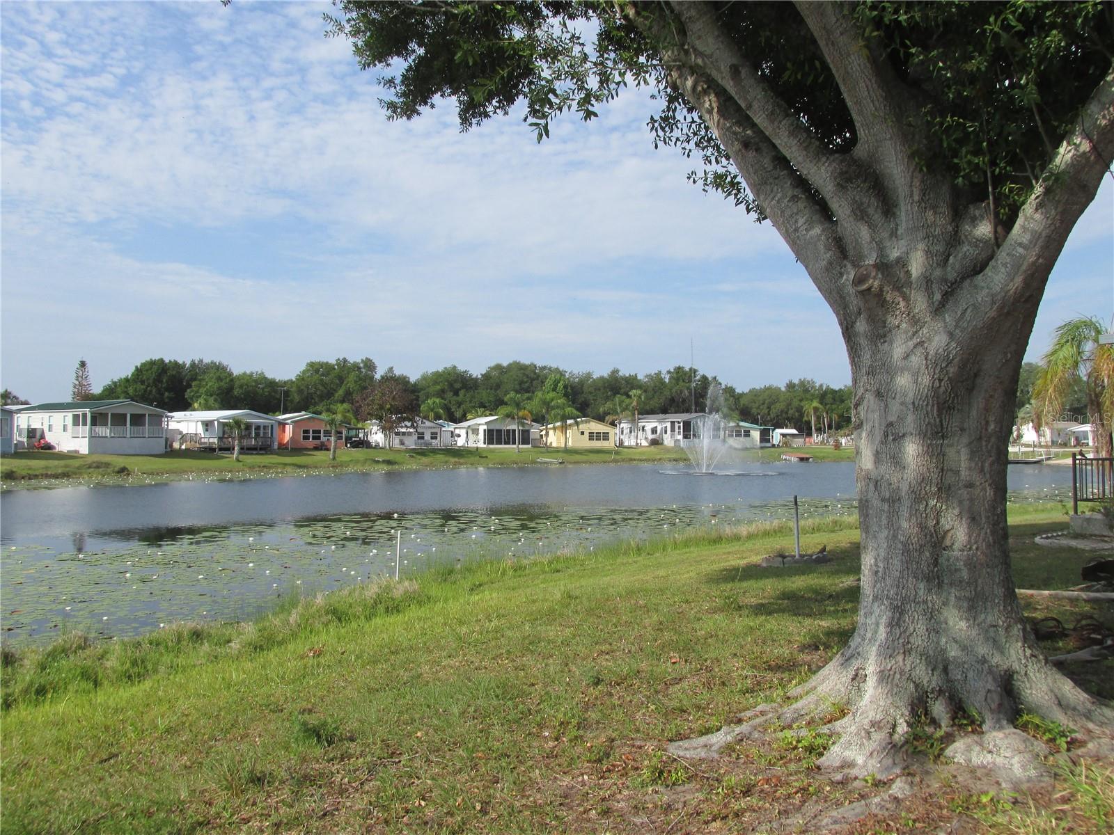 SADDLEBAG LAKE - Land