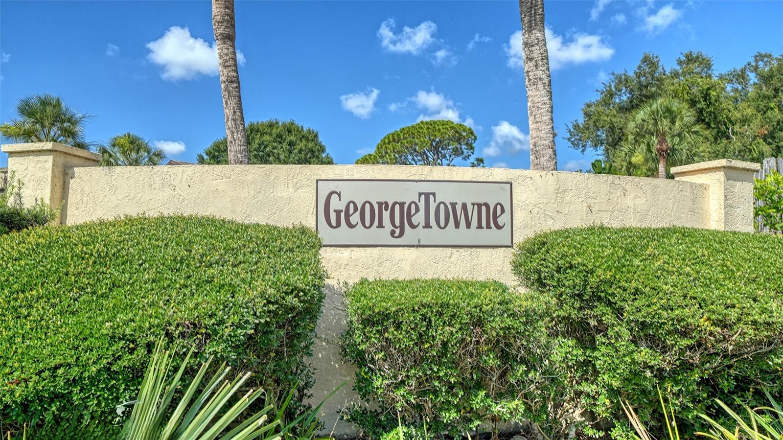 GEORGETOWNE - Residential