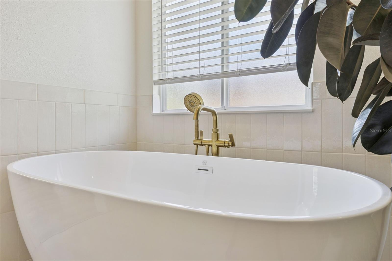 CLERMONT LAKEVIEW POINTE - Residential