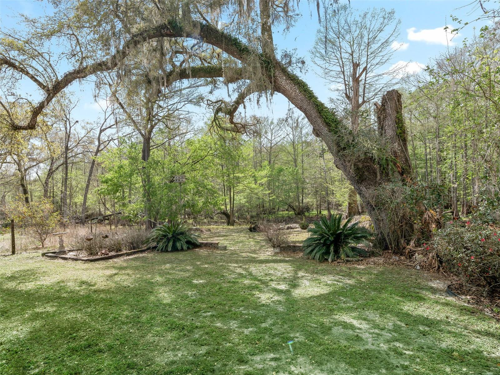 JERRY TAYLOR LANDING - Residential