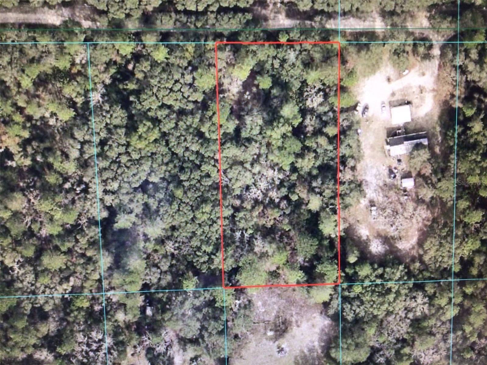 NICE LOT IN FLORIDA HIGHLANDS ZONED A-1 PERMITS ANIMALS