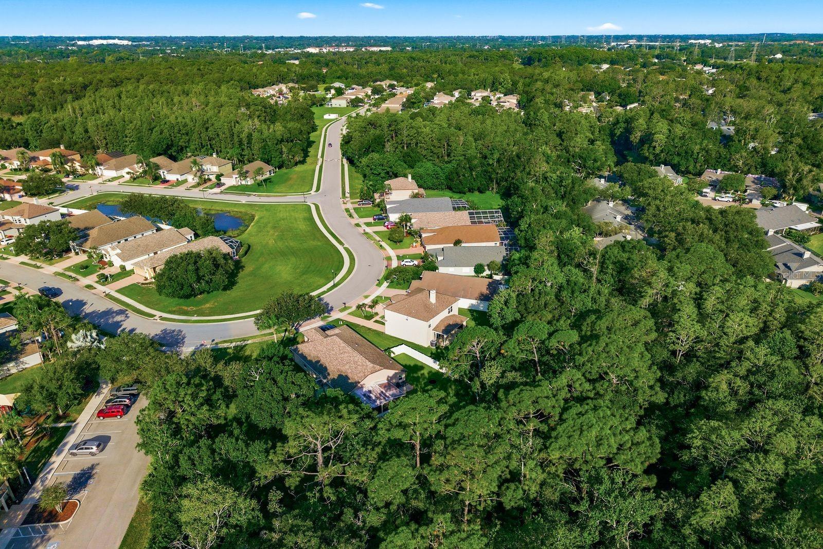 BAY ARBOR - Residential