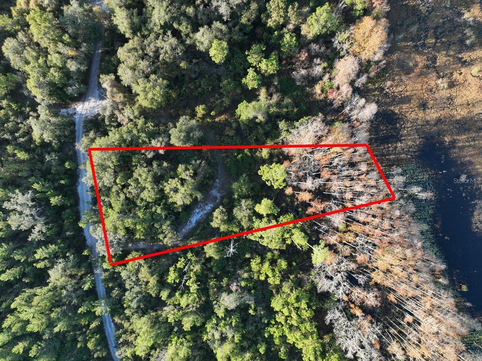Welcome to your own slice of paradise in sunny DeLand! This exceptional oversized 0.65-acre lakefront lot offers approximately 56 feet of waterfront frontage, creating the perfect setting to enjoy Florida's natural beauty and waterfront lifestyle. Imagine spending your mornings taking in peaceful water views and your afternoons fishing, kayaking, or paddleboarding right from your own property.

This unique parcel is accessed via a private road owned and controlled by a corporation. Access and use of the roadway are subject to the corporation's requirements, approvals, and governing documents. Buyers should conduct their due diligence regarding roadway access, maintenance obligations, and any applicable corporate membership or usage requirements.

Located in the desirable X Flood Zone, flood insurance is not typically required, providing valuable savings and peace of mind. Electricity is nearby, adding convenience for future plans and property use. The generous lot size provides ample space to enjoy privacy, outdoor recreation, and the serene lakefront setting.

While surrounded by nature and breathtaking water views, you'll still enjoy convenient access to downtown DeLand, local shopping, dining, medical facilities, and highly rated schools. Whether you're seeking a private getaway, recreational property, or long-term investment opportunity, this rare lakefront parcel offers a unique combination of waterfront living, natural beauty, and accessibility. Don't miss your chance to own a piece of Florida waterfront where stunning sunsets, peaceful surroundings, and endless outdoor adventures await.