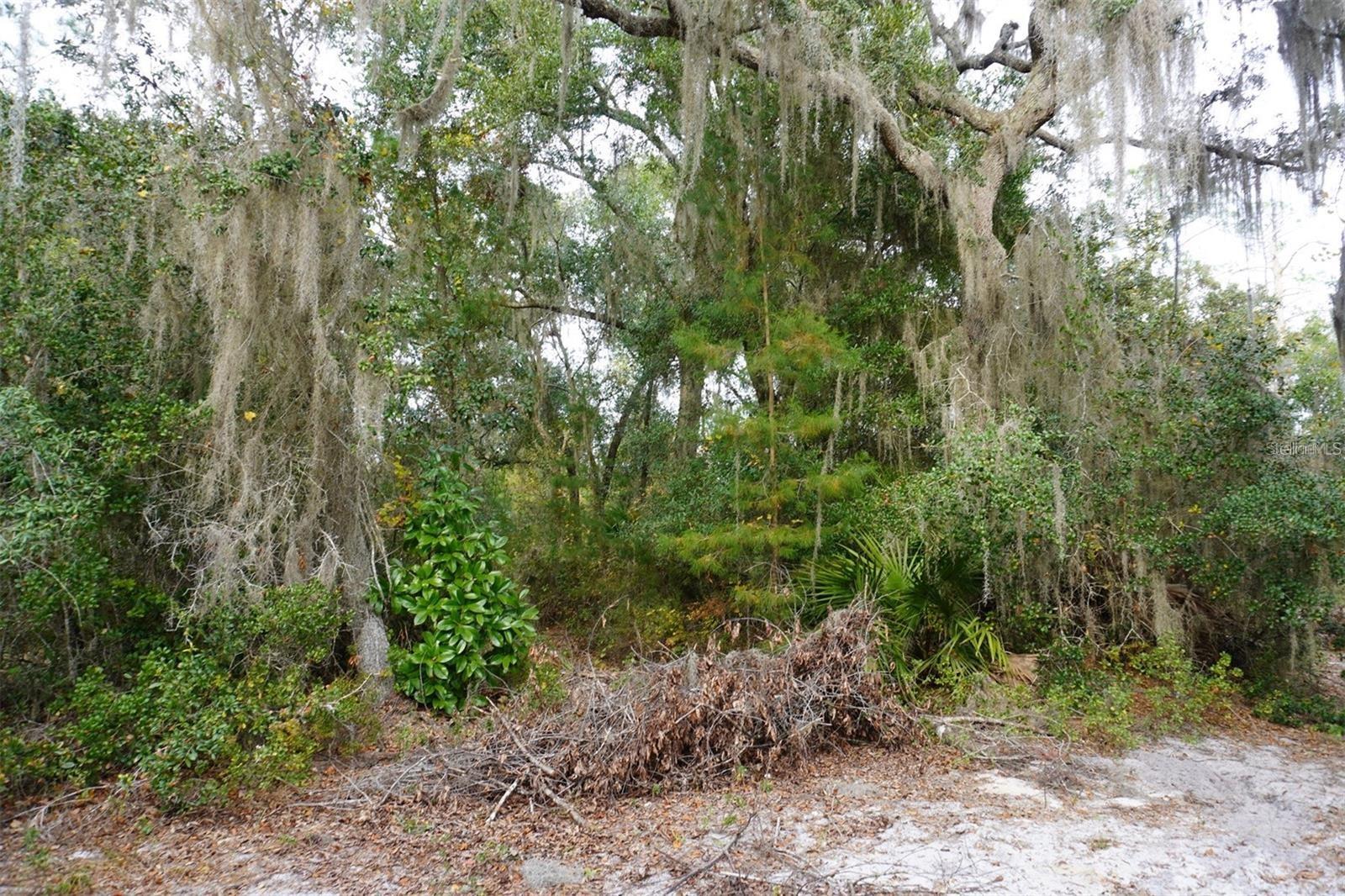 DAYTONA PARK ESTATES SEC H UNREC 253 - Land