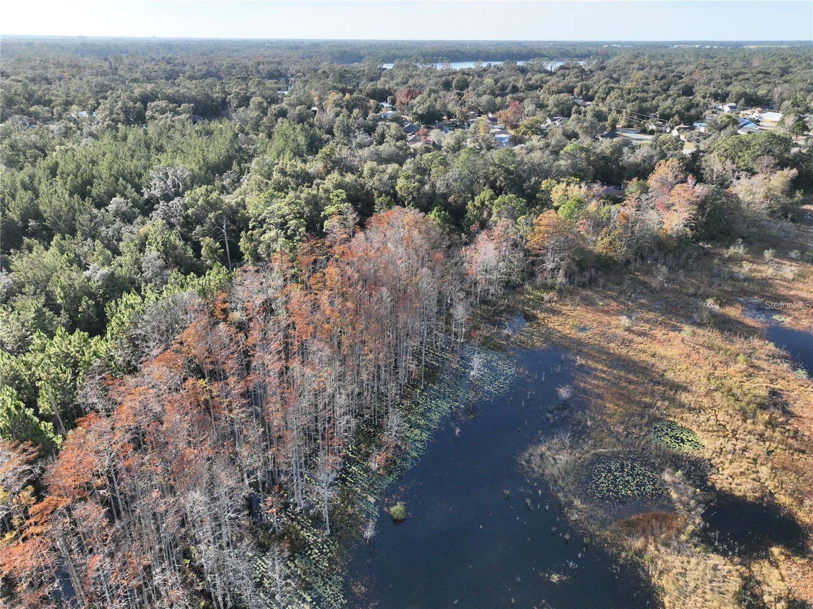DAYTONA PARK ESTATES SEC H UNREC 253 - Land