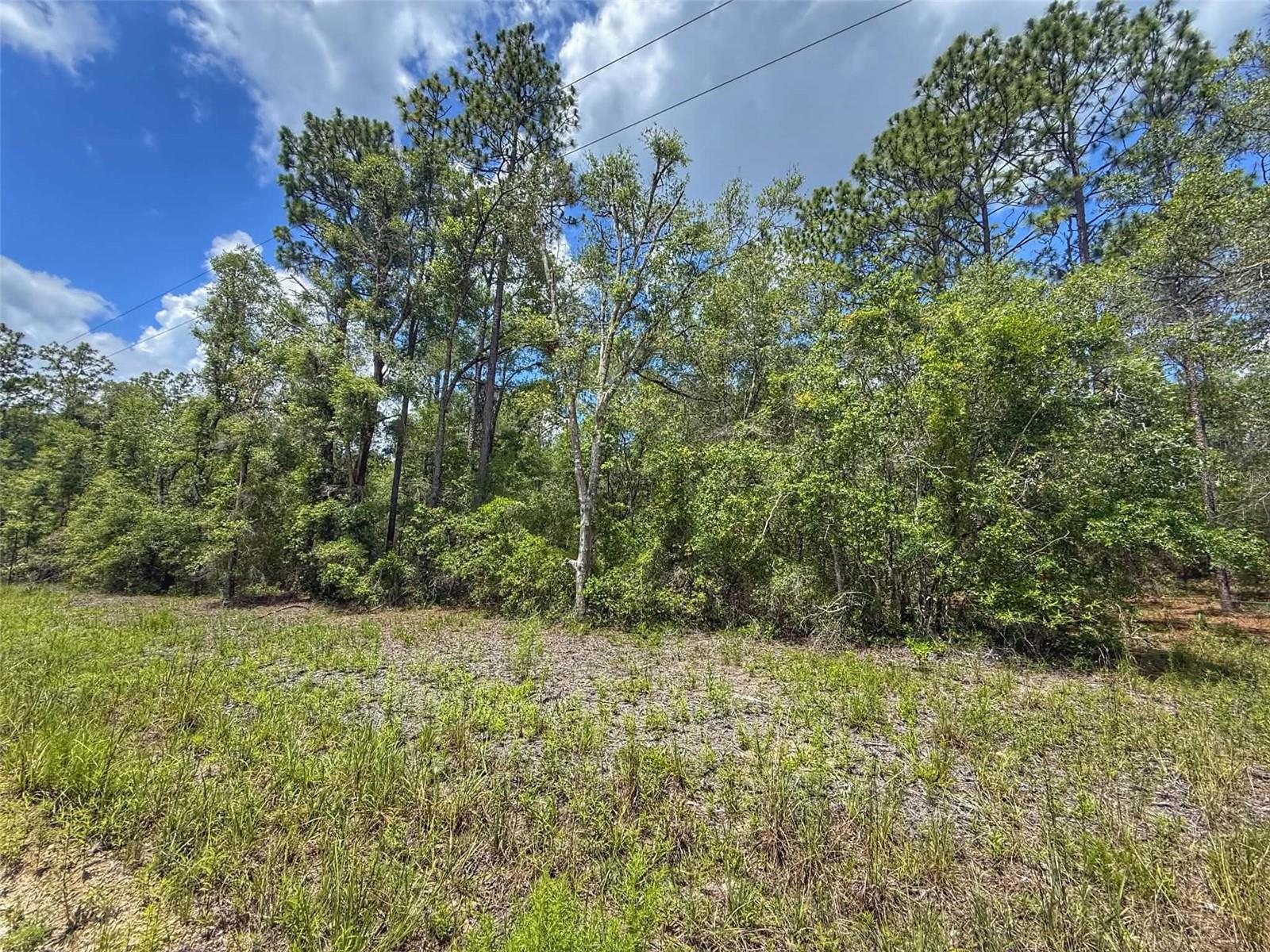 SUWANNEE RIVER ESTATES NORTH - Land