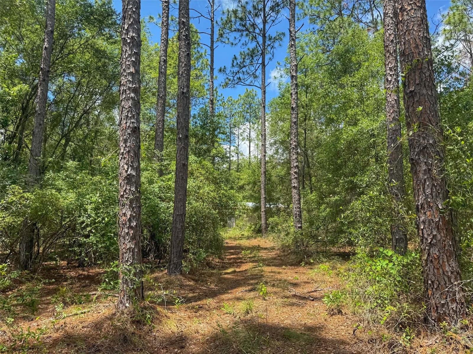 SUWANNEE RIVER ESTATES NORTH - Land