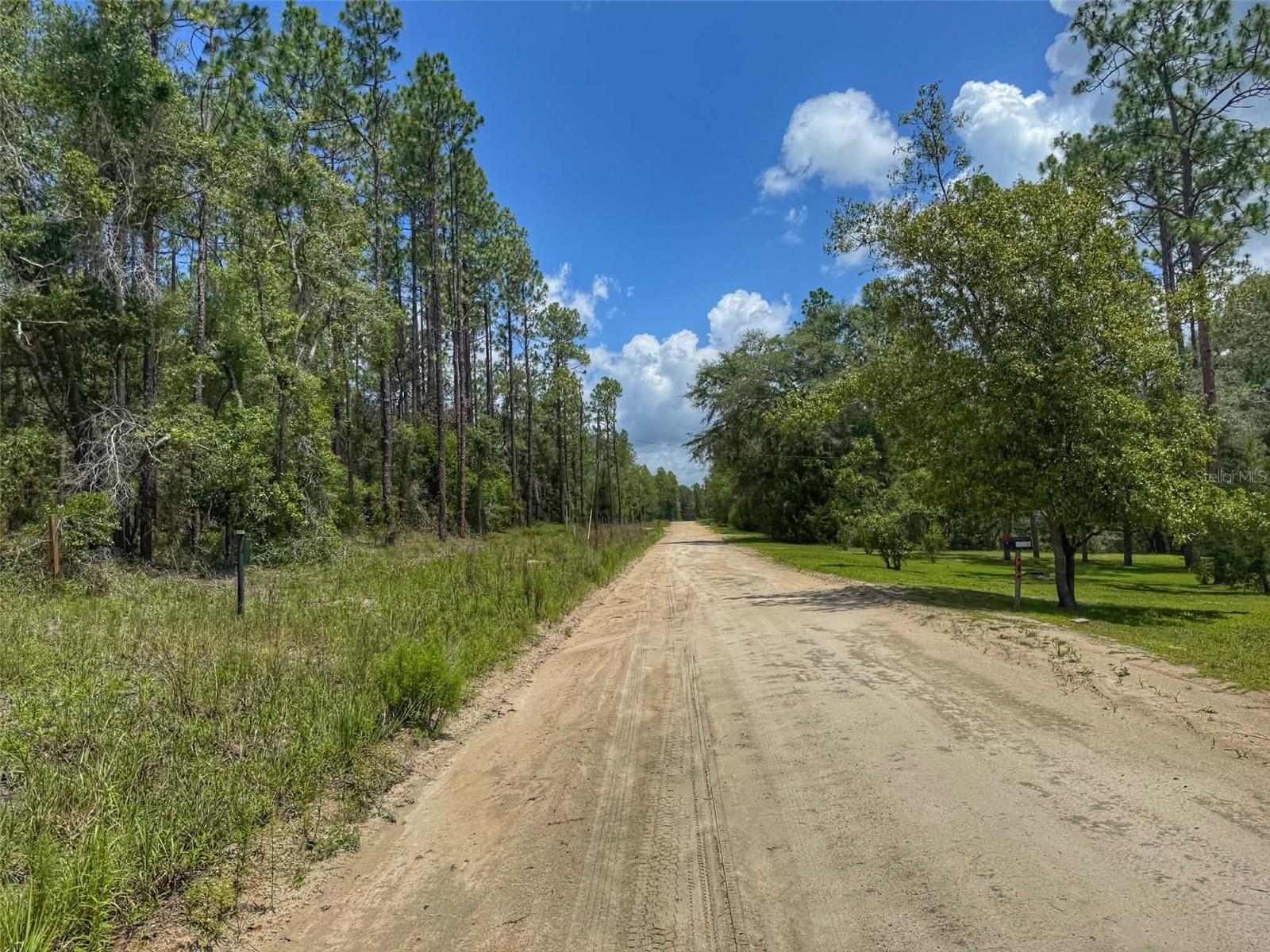 SUWANNEE RIVER ESTATES NORTH - Land