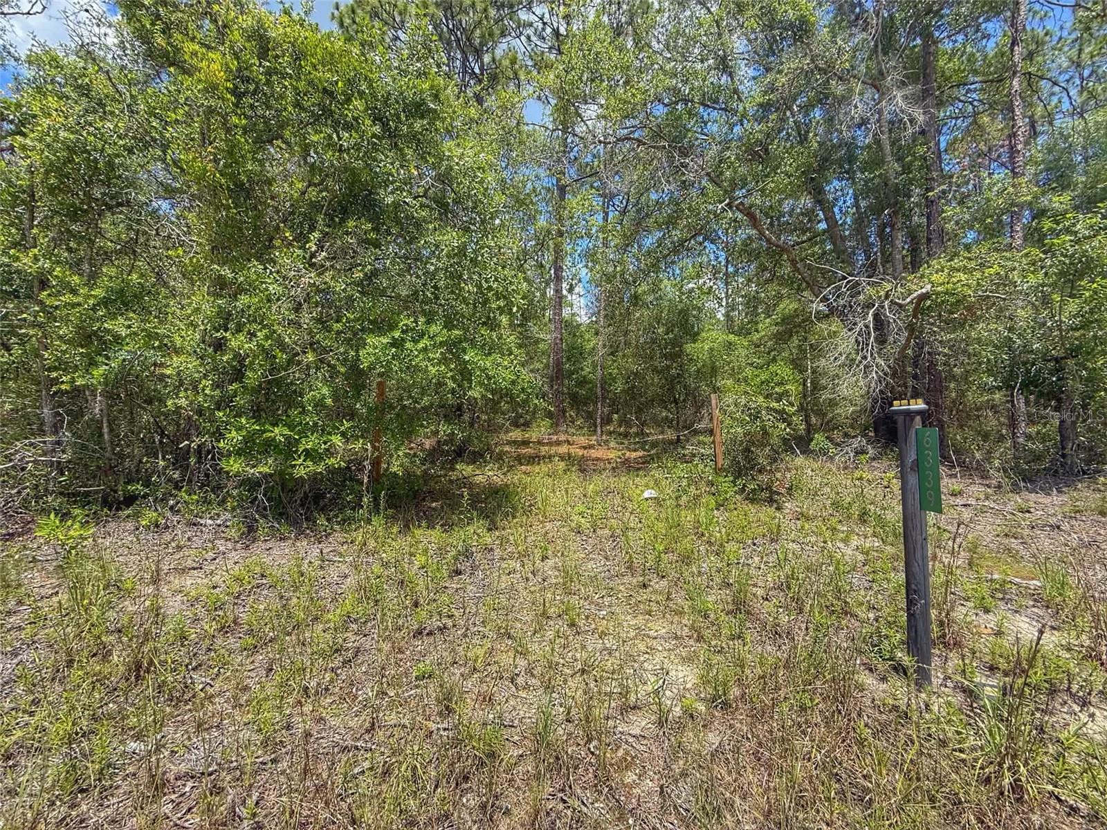 SUWANNEE RIVER ESTATES NORTH - Land