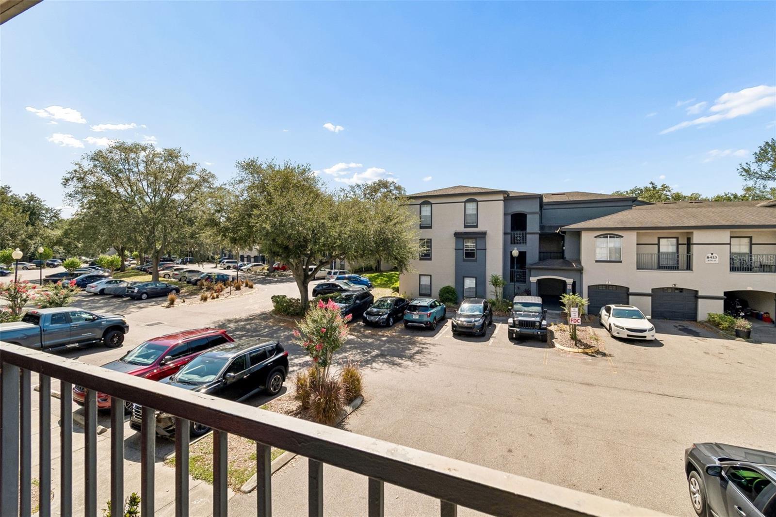 THE FALLS AT NEW TAMPA A CONDO - Residential