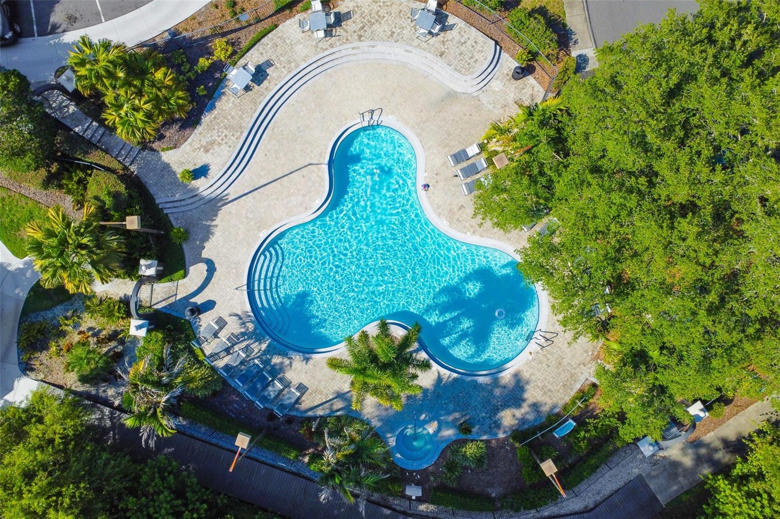 THE FALLS AT NEW TAMPA A CONDO - Residential