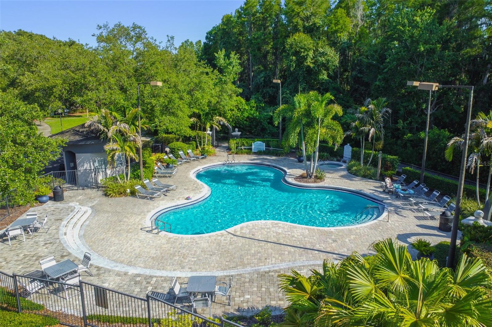 THE FALLS AT NEW TAMPA A CONDO - Residential