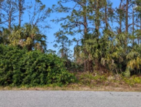 Residential LOT - Conveniently located within minutes to North Port, Murdock, Port Charlotte's shopping and restaurants. Within 30 minutes to the Gulf beaches. Great building lot in quiet area. Come build that dream here in paradise!