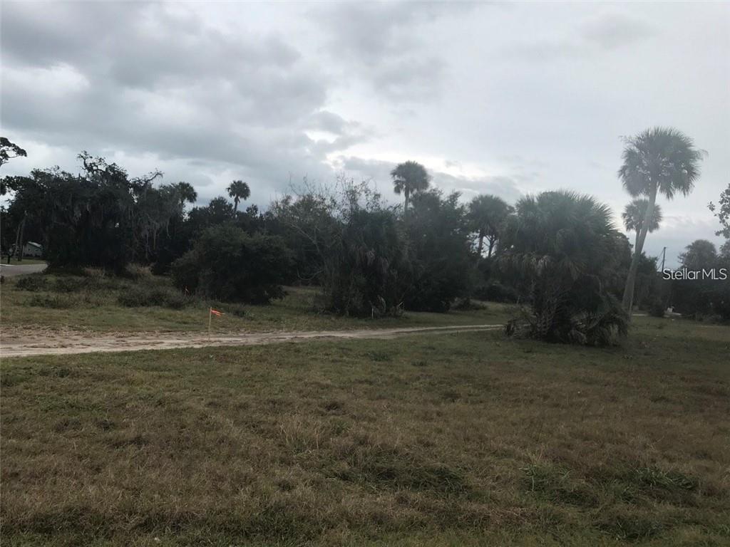 WILKINSON LT 16 ALVAREZ GRANT - Land