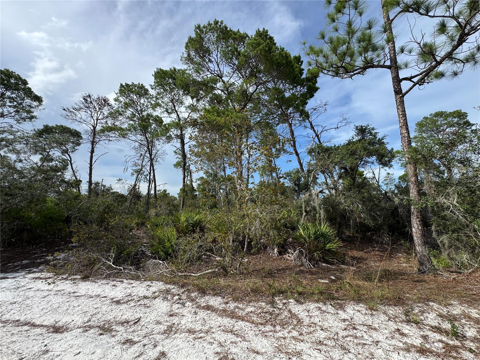 Discover the perfect opportunity to build your dream home on this 0.22-acre residential lot in the established Orange Blossom Estates community of Sebring! Zoned R-1 for single-family residential use, this property offers the flexibility of NO HOA and NO CDD fees, giving you the freedom to build without additional community restrictions. Located in desirable Flood Zone X, flood insurance is generally not required by lenders. Enjoy easy access to shopping, restaurants, medical facilities, schools, and everyday conveniences, while being just minutes from Sebring’s renowned golf courses, beautiful freshwater lakes, Highlands Hammock State Park, and the world-famous Sebring International Raceway.