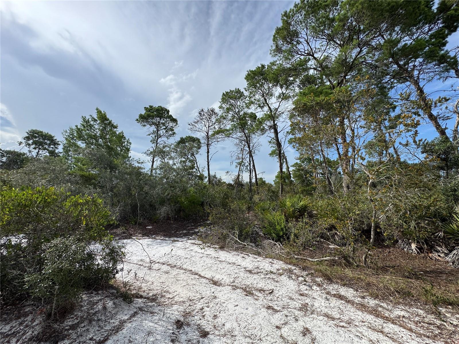 ORANGE BLOSSOM ESTATE UT 10 REP - Land