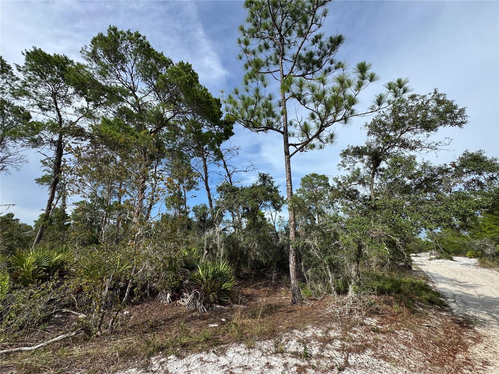 ORANGE BLOSSOM ESTATE UT 10 REP - Land