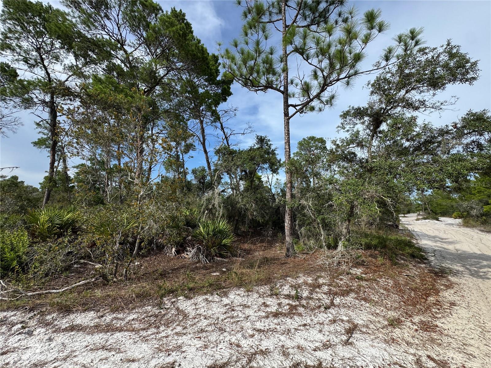 ORANGE BLOSSOM ESTATE UT 10 REP - Land