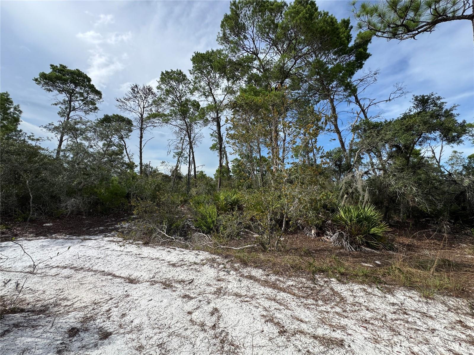 ORANGE BLOSSOM ESTATE UT 10 REP - Land