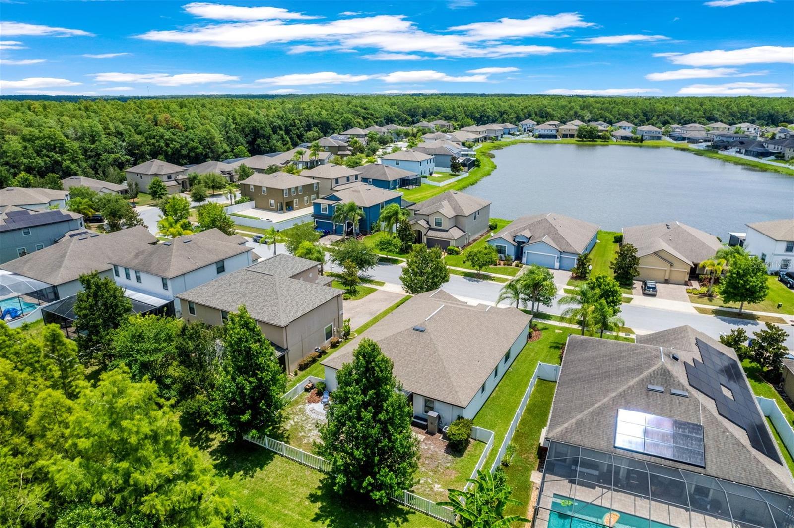 TRINITY PRESERVE - Residential