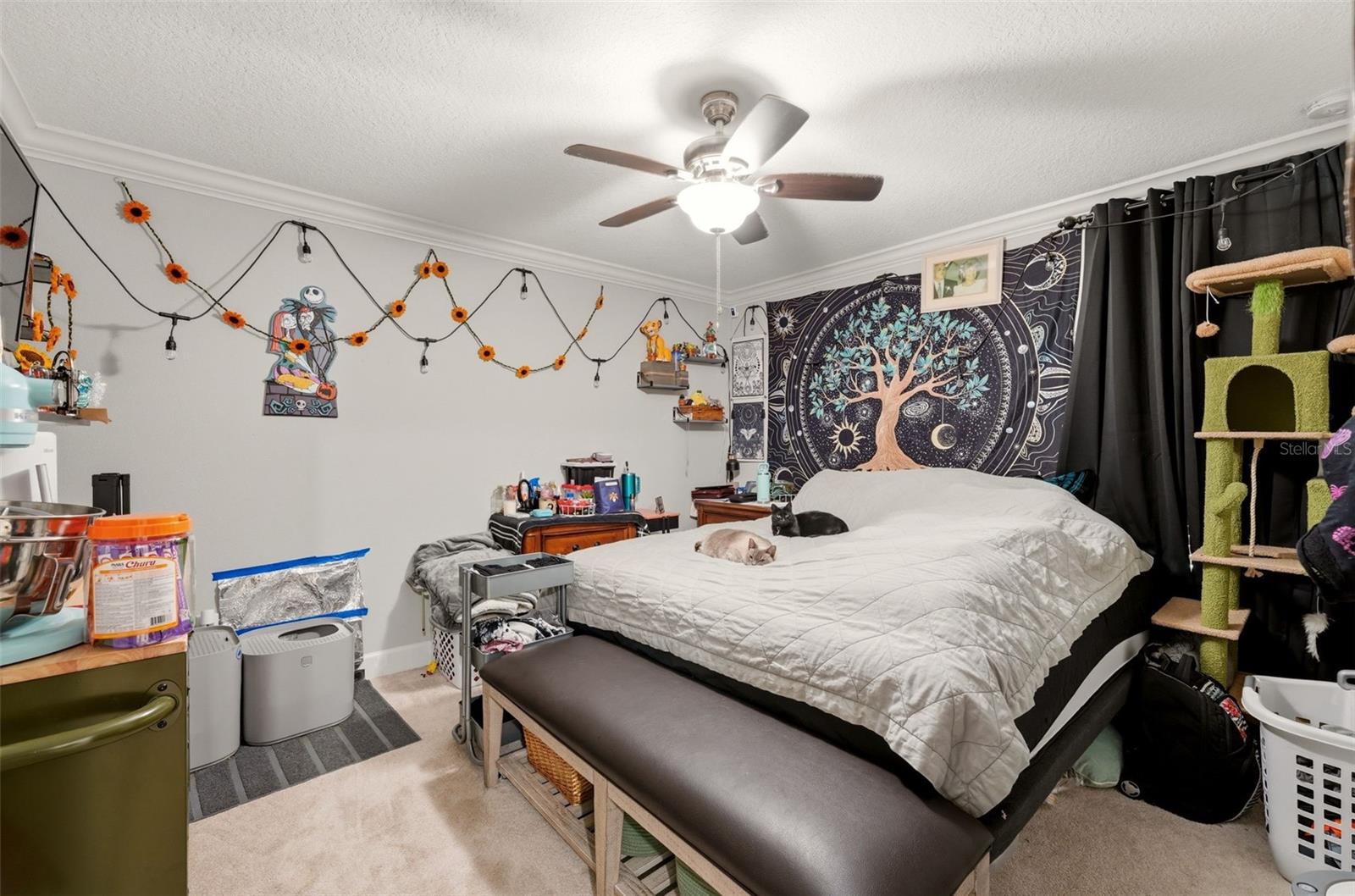 PORT CHARLOTTE SUB 30 - Residential