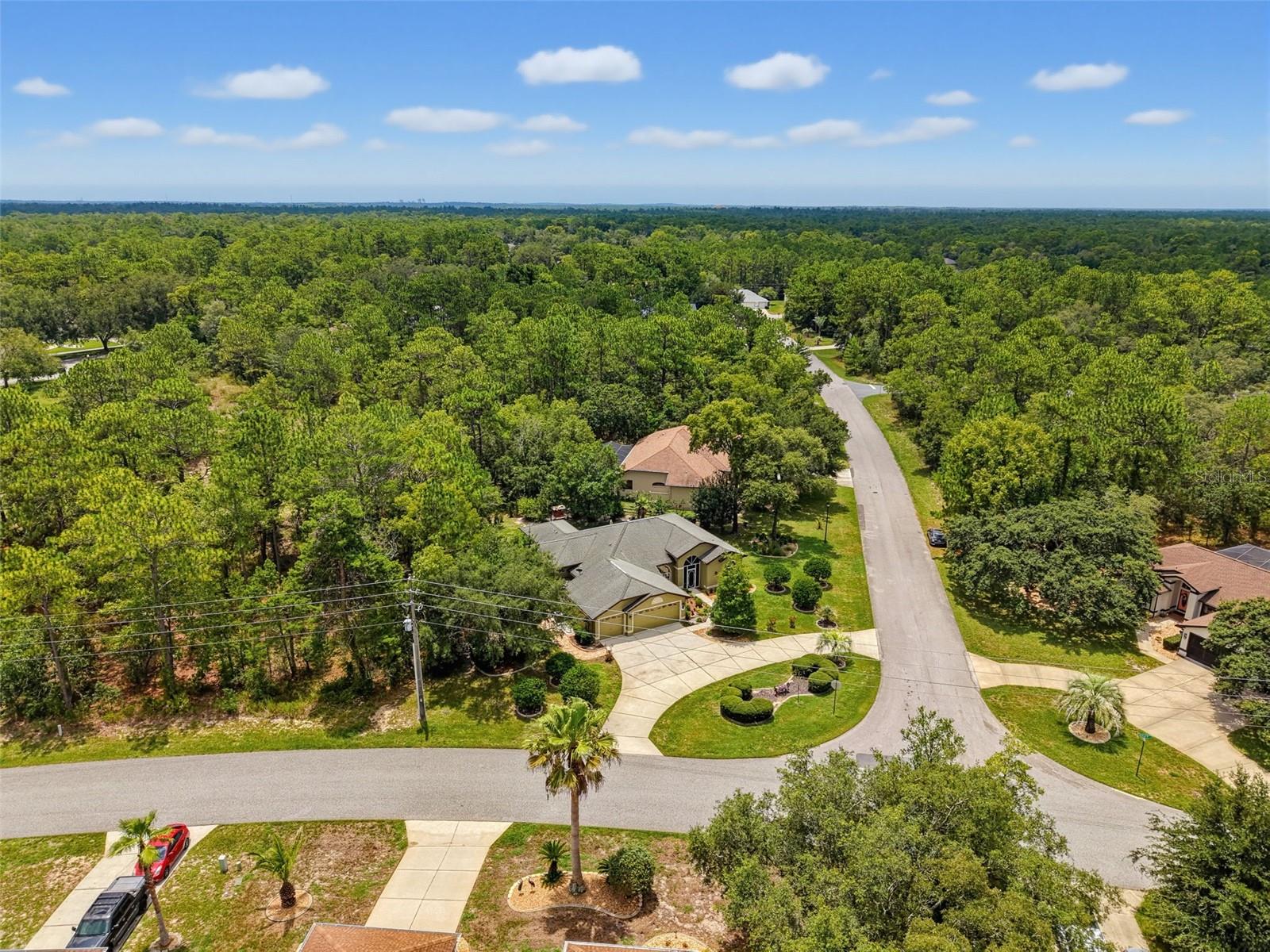 SUGARMILL WOODS OAK VILLAGE - Residential