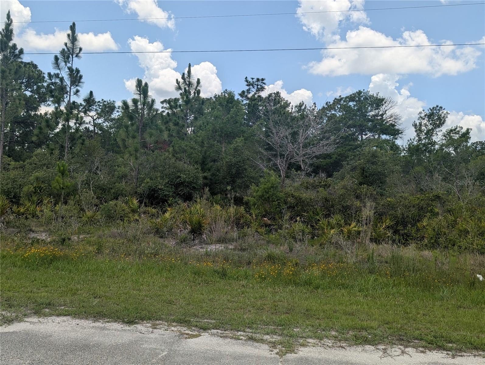 INDIAN LAKE ESTATES - Land