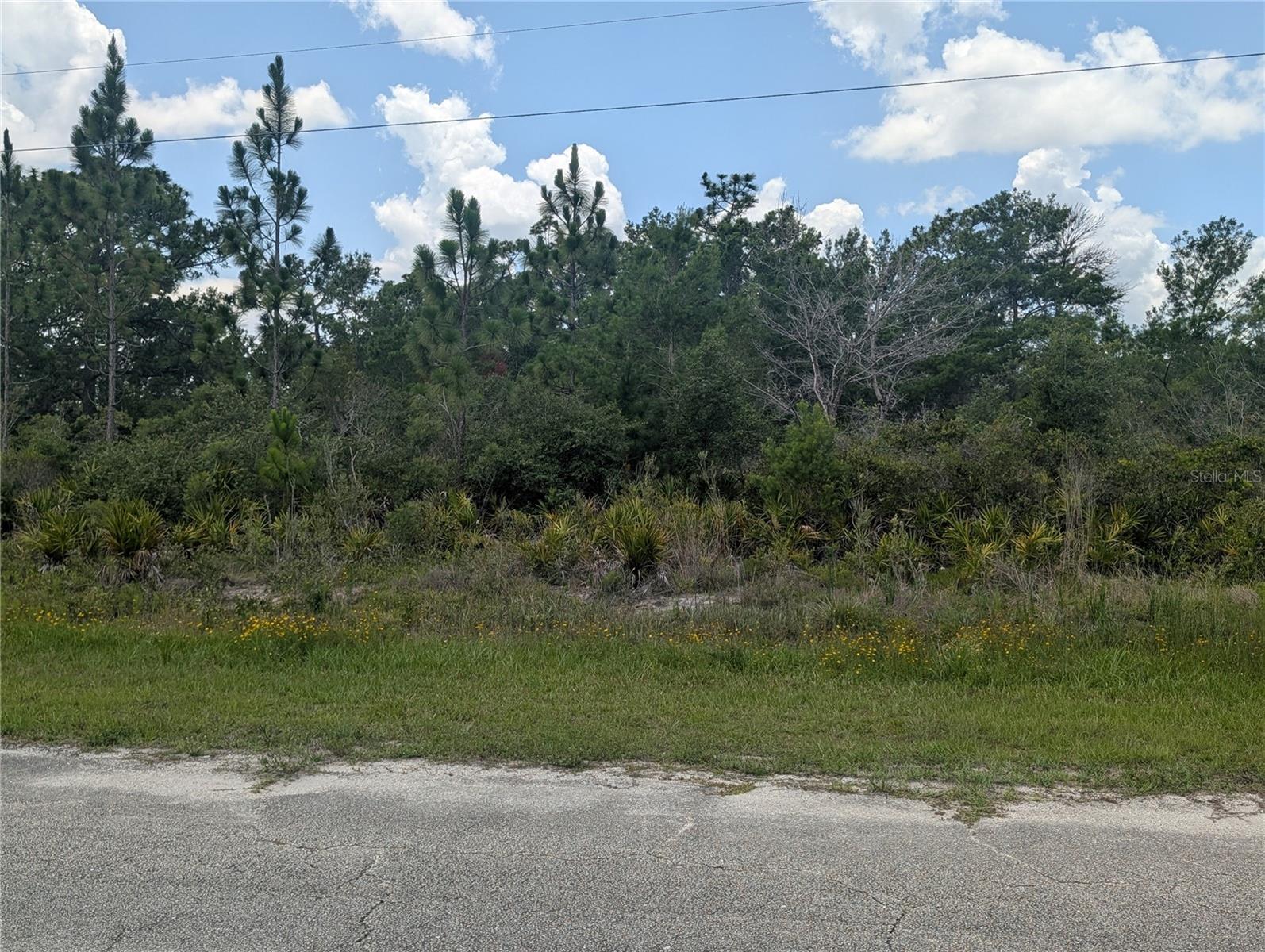 INDIAN LAKE ESTATES - Land