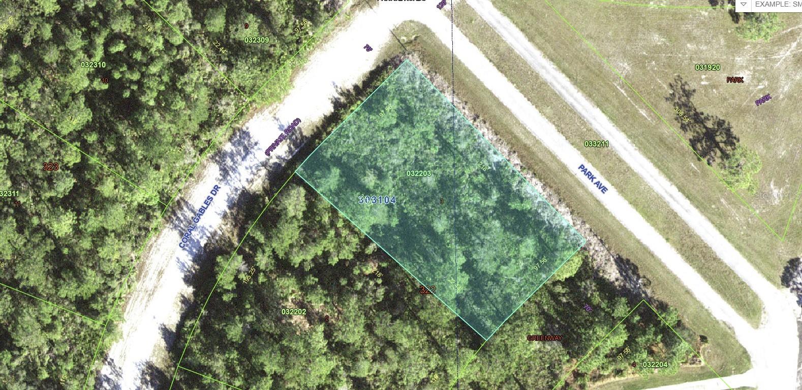 INDIAN LAKE ESTATES - Land