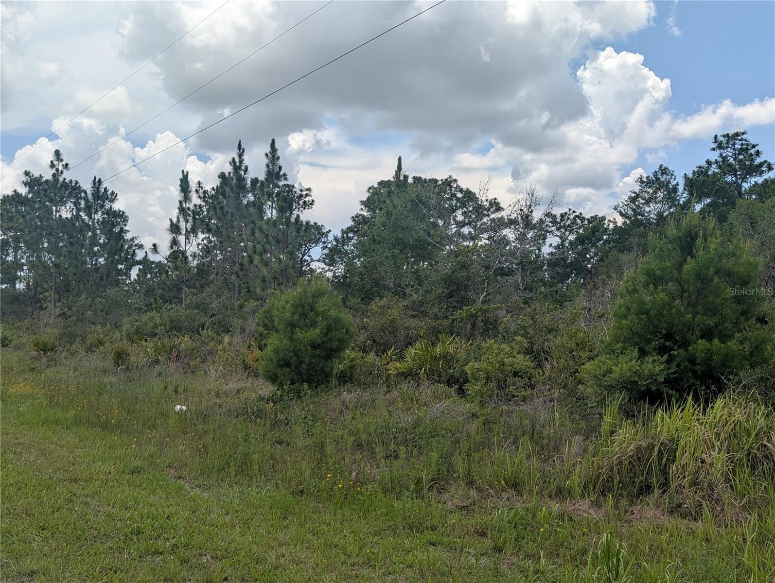 INDIAN LAKE ESTATES - Land