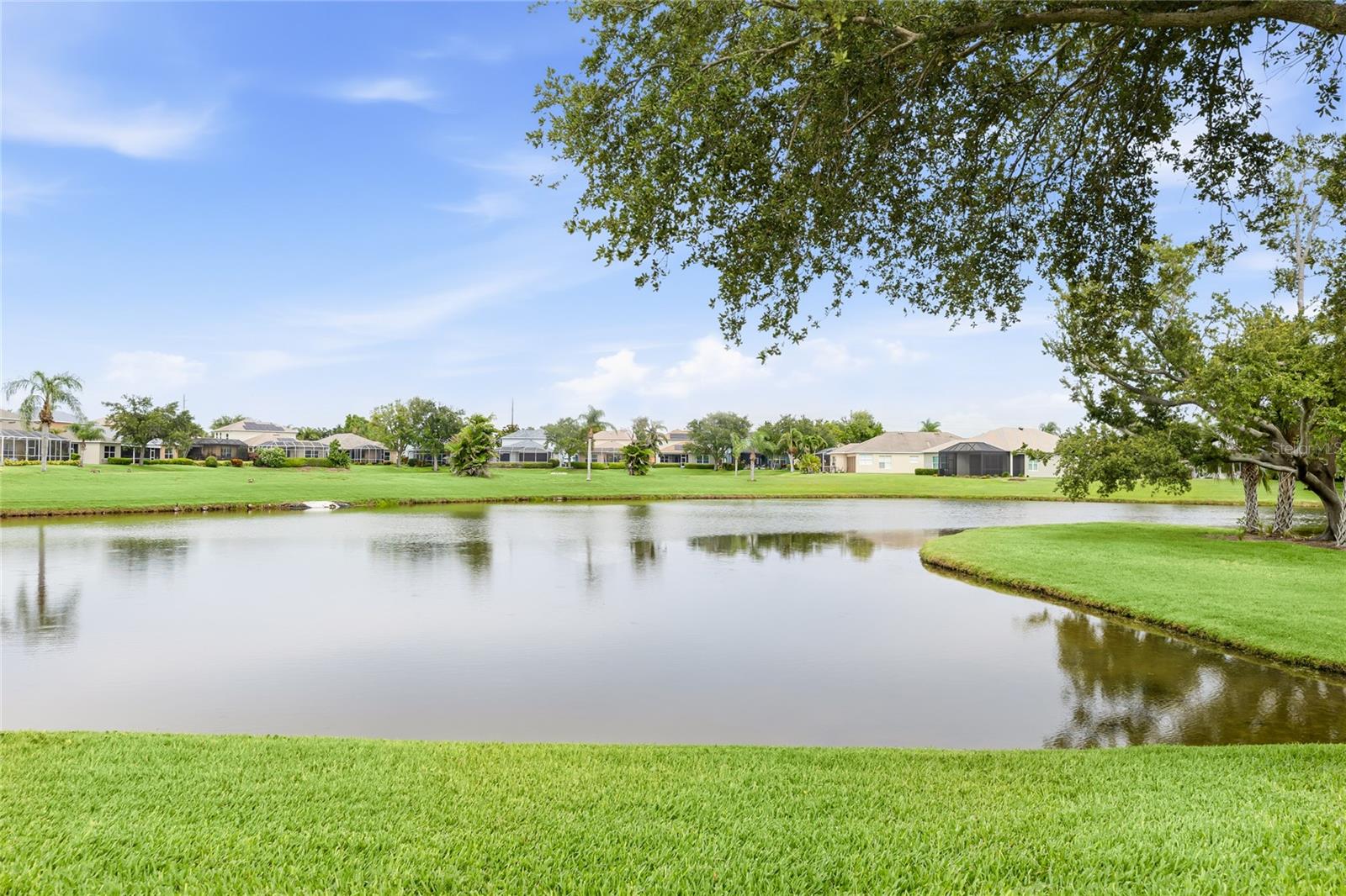 PALMA SOLA TRACE - Residential