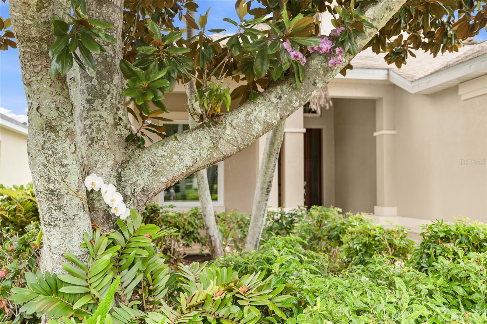 PALMA SOLA TRACE - Residential