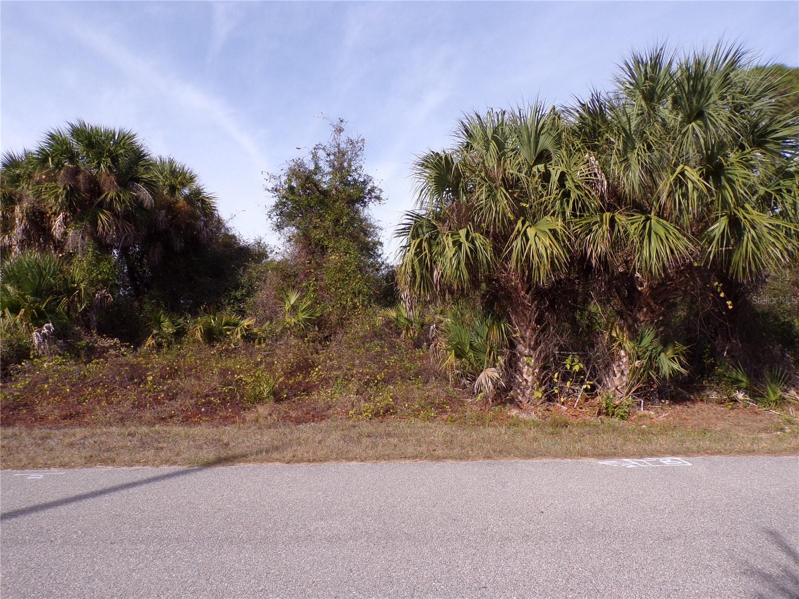 This lot is on a quiet street, that would be a great place to build your dream home and retire or raise your family. Less than 6 miles to I75 makes this location an easy commute to almost anywhere, and only 19 miles to Chadwick Park at Englewood Beach with amazing sunsets, 8 miles to Cocoplum Village Shops with lots of shopping and dining options. Atlanta Braves spring training and the fairgrounds are just minutes away, also multiple golf courses and some of the best boating and fishing in all of Florida. Red Soxs, Orioles, Twins and Rays spring training all within an hour’s drive. Buyer and buyers’ reps are responsible for determining environmental conditions and endangered species restrictions. This lot is priced to sell so please call for availability! This lot is at a great price point for the investor call today.