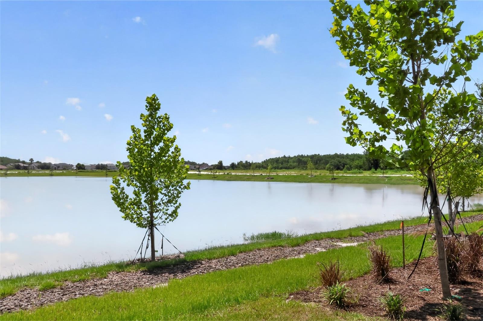 HAM BROWN RESERVE PH 1A - Residential