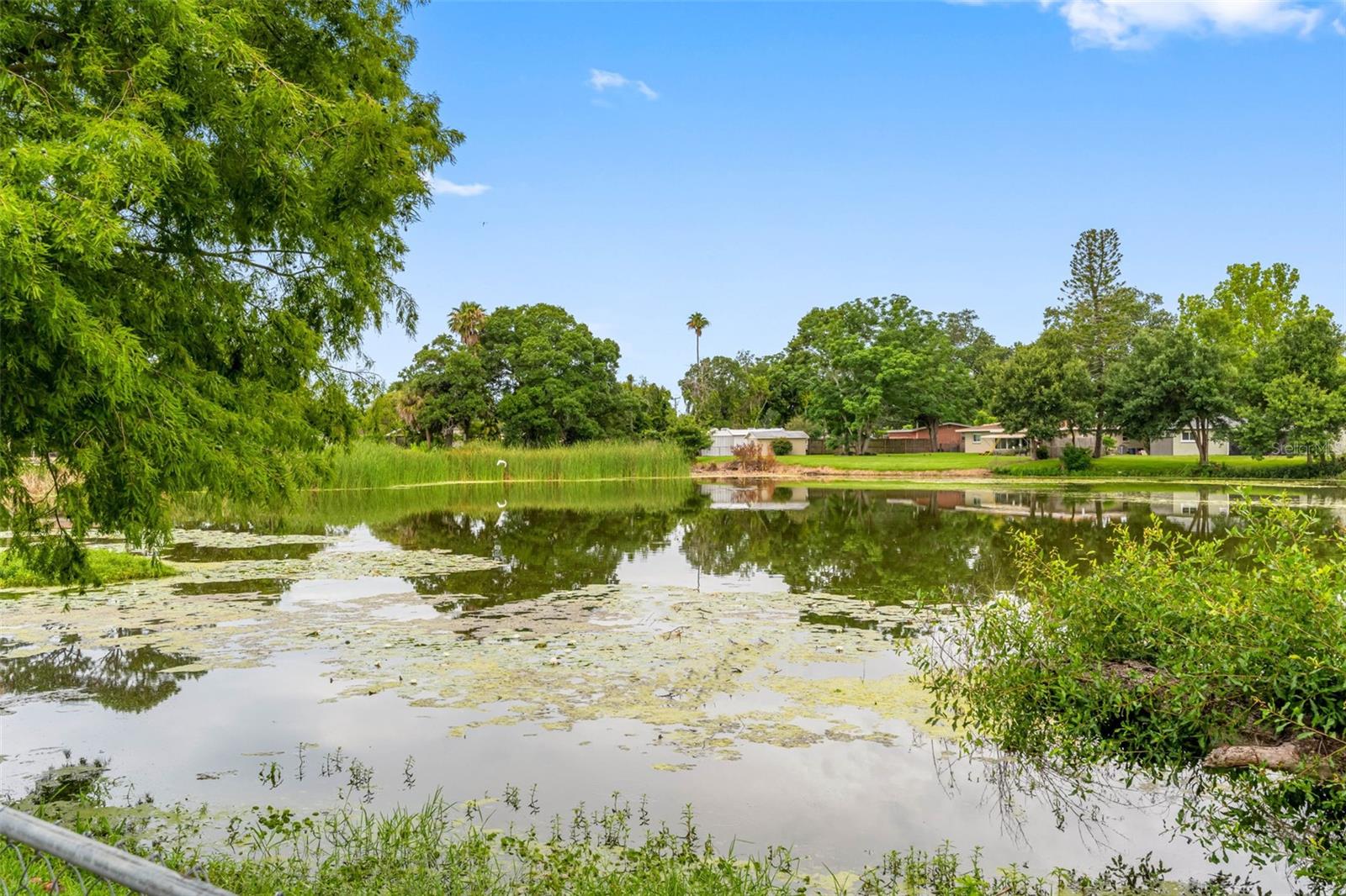 VIRGINIA GROVES ESTATES - Residential