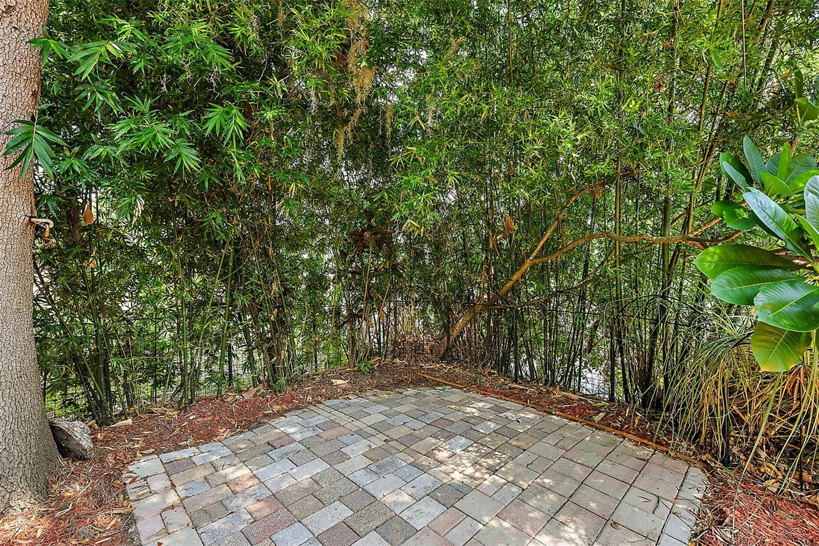 EUSTIS LAKEVIEW PARK - Residential